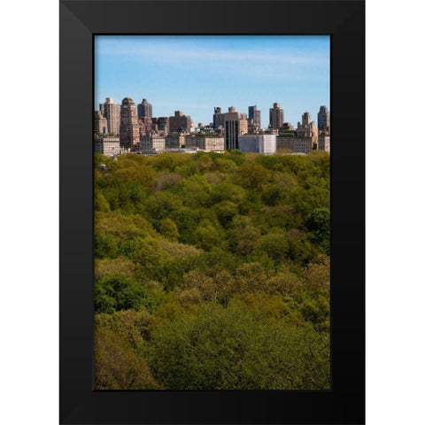 Central Park I Black Modern Wood Framed Art Print by Berzel, Erin