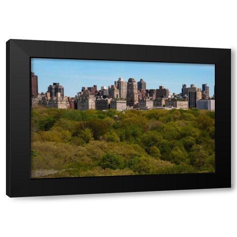 Central Park II Black Modern Wood Framed Art Print with Double Matting by Berzel, Erin