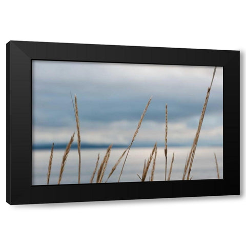 Whidbey Grass I Black Modern Wood Framed Art Print by Berzel, Erin
