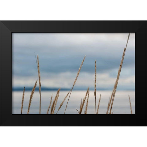 Whidbey Grass I Black Modern Wood Framed Art Print by Berzel, Erin