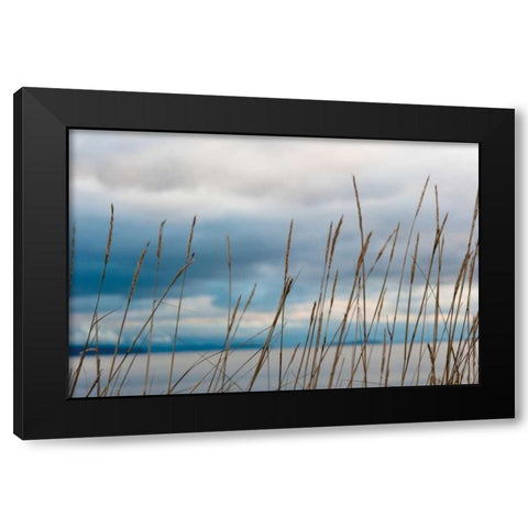 Whidbey Grass II Black Modern Wood Framed Art Print by Berzel, Erin