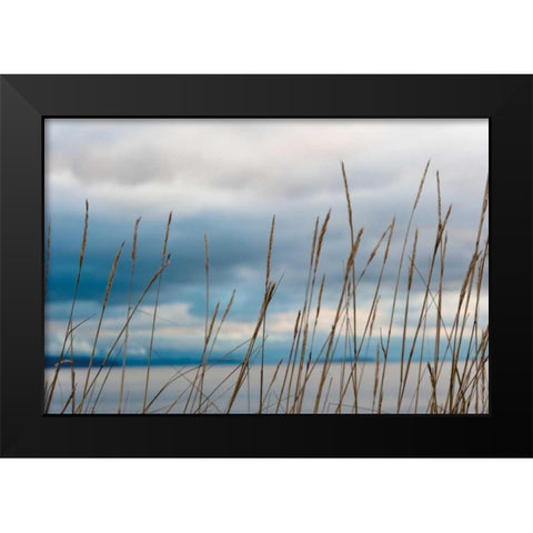 Whidbey Grass II Black Modern Wood Framed Art Print by Berzel, Erin