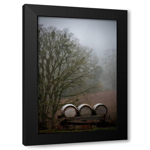 Oregon Wine Country I Black Modern Wood Framed Art Print with Double Matting by Berzel, Erin