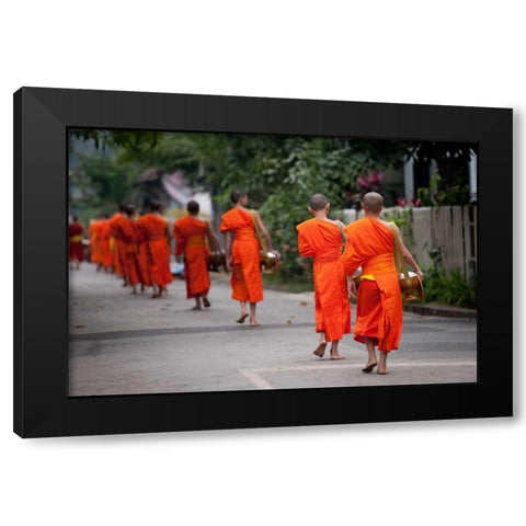 Morning Alms II Black Modern Wood Framed Art Print with Double Matting by Berzel, Erin