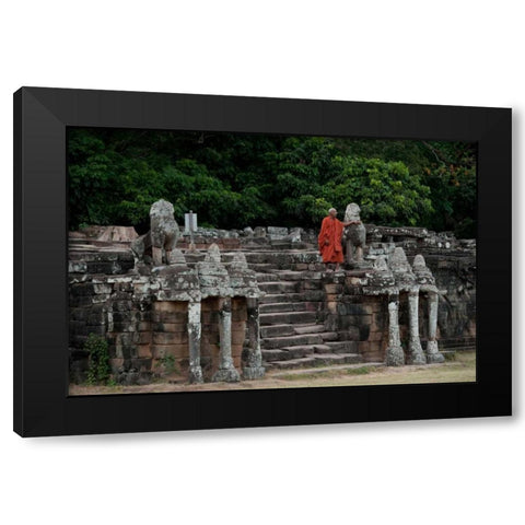 Elephant Terrace II Black Modern Wood Framed Art Print by Berzel, Erin