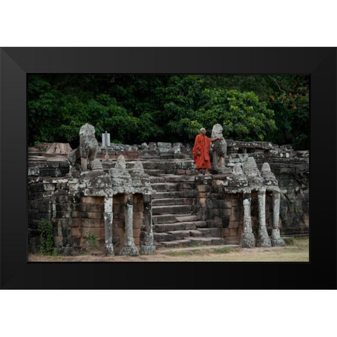 Elephant Terrace II Black Modern Wood Framed Art Print by Berzel, Erin