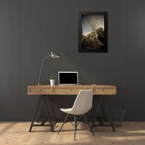 Silk Cotton Tree Black Modern Wood Framed Art Print by Berzel, Erin