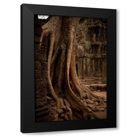 Roots and Ruins I Black Modern Wood Framed Art Print by Berzel, Erin