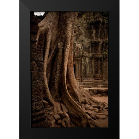 Roots and Ruins I Black Modern Wood Framed Art Print by Berzel, Erin