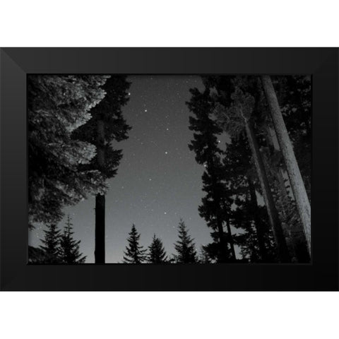 BW Starry Night I Black Modern Wood Framed Art Print by Berzel, Erin
