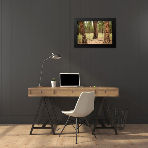 Willamette Natl Forest II Black Modern Wood Framed Art Print by Berzel, Erin