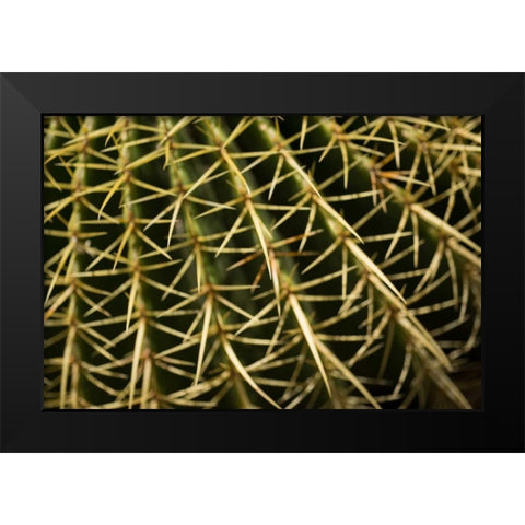 Cactus Detail II Black Modern Wood Framed Art Print by Berzel, Erin