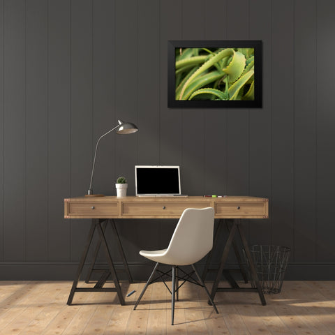Aloe II Black Modern Wood Framed Art Print by Berzel, Erin
