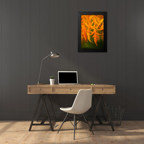 Fall Leaves II Black Modern Wood Framed Art Print by Berzel, Erin