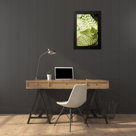 Green and White I Black Modern Wood Framed Art Print by Berzel, Erin