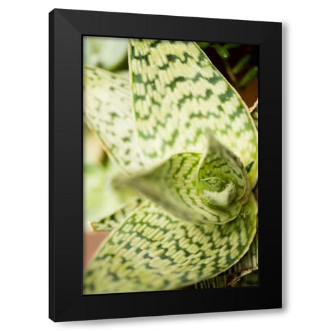 Green and White I Black Modern Wood Framed Art Print with Double Matting by Berzel, Erin