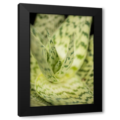 Green and White II Black Modern Wood Framed Art Print by Berzel, Erin