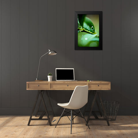 Suspended Dew I Black Modern Wood Framed Art Print by Berzel, Erin
