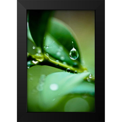 Suspended Dew I Black Modern Wood Framed Art Print by Berzel, Erin