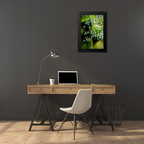 Suspended Dew II Black Modern Wood Framed Art Print by Berzel, Erin
