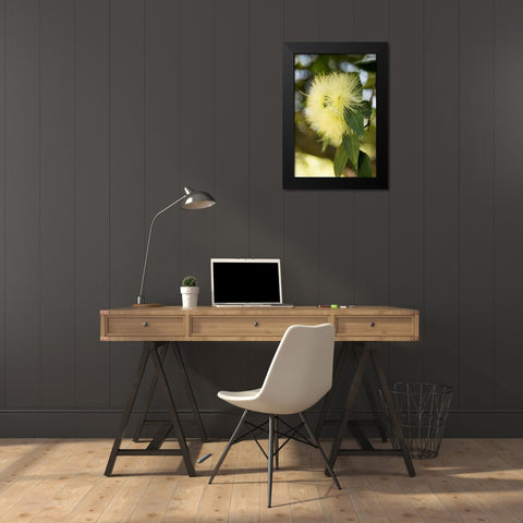 Yellow Blossom Black Modern Wood Framed Art Print by Berzel, Erin