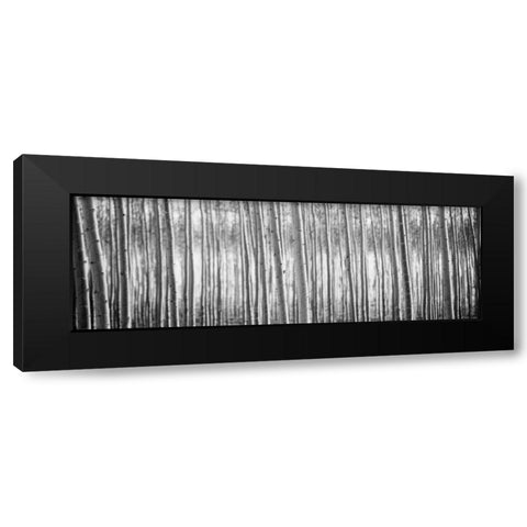 Pacific Albus BW I Black Modern Wood Framed Art Print by Berzel, Erin