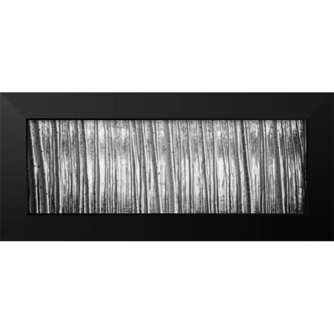 Pacific Albus BW I Black Modern Wood Framed Art Print by Berzel, Erin