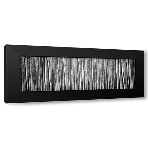 Pacific Albus BW II Black Modern Wood Framed Art Print by Berzel, Erin