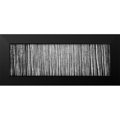 Pacific Albus BW II Black Modern Wood Framed Art Print by Berzel, Erin