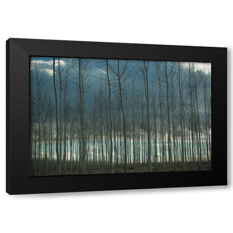 Pacific Albus and Clouds I Black Modern Wood Framed Art Print by Berzel, Erin