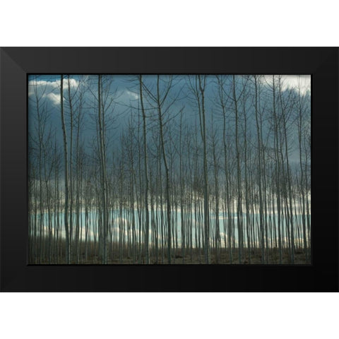 Pacific Albus and Clouds I Black Modern Wood Framed Art Print by Berzel, Erin
