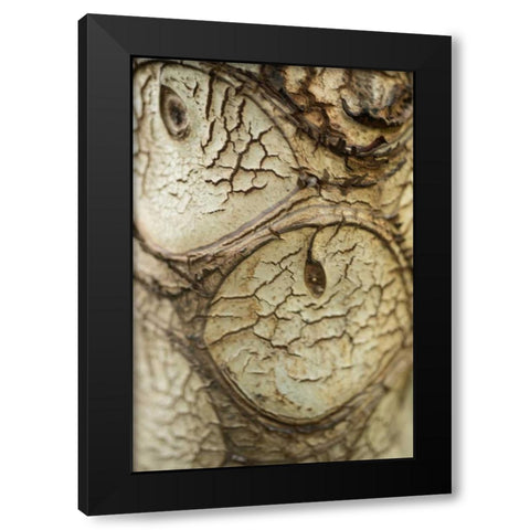 Bark Detail Black Modern Wood Framed Art Print with Double Matting by Berzel, Erin
