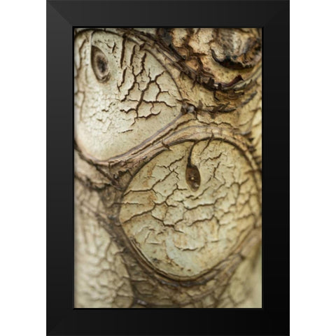 Bark Detail Black Modern Wood Framed Art Print by Berzel, Erin