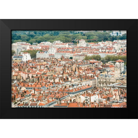 Lyon Rooftops I Black Modern Wood Framed Art Print by Berzel, Erin