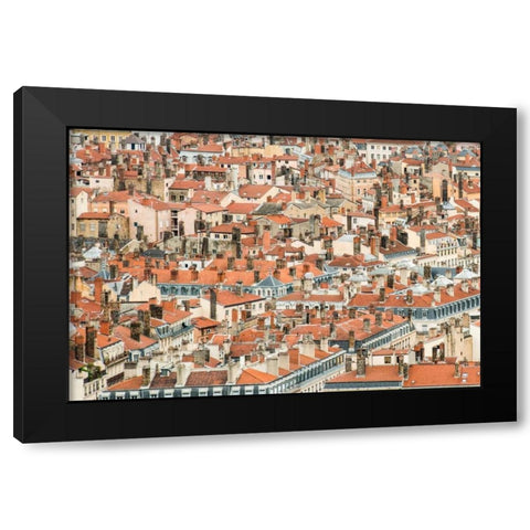 Lyon Rooftops II Black Modern Wood Framed Art Print by Berzel, Erin