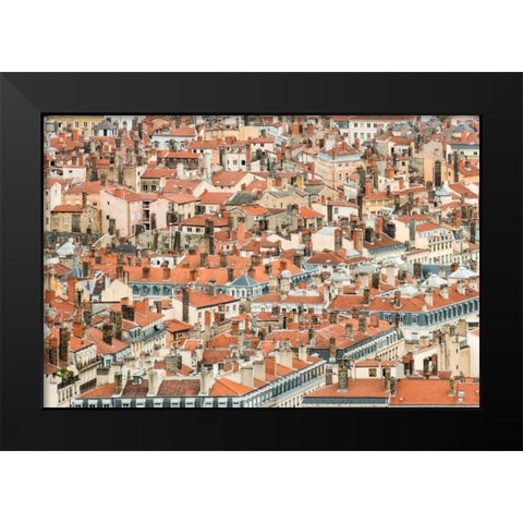 Lyon Rooftops II Black Modern Wood Framed Art Print by Berzel, Erin