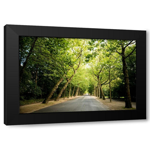 Amsterdam Vondelpark I Black Modern Wood Framed Art Print by Berzel, Erin