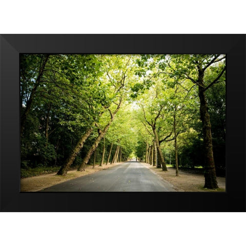 Amsterdam Vondelpark I Black Modern Wood Framed Art Print by Berzel, Erin