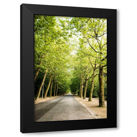 Amsterdam Vondelpark II Black Modern Wood Framed Art Print with Double Matting by Berzel, Erin