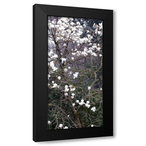 Giardino dei Semplici I Black Modern Wood Framed Art Print by Crane, Rita