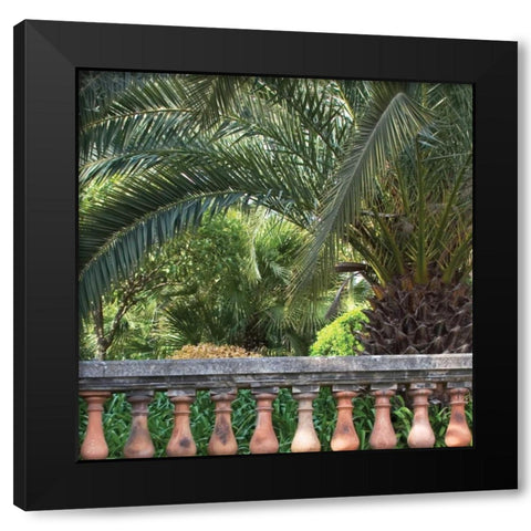 Palace Garden Palms I Black Modern Wood Framed Art Print by Crane, Rita