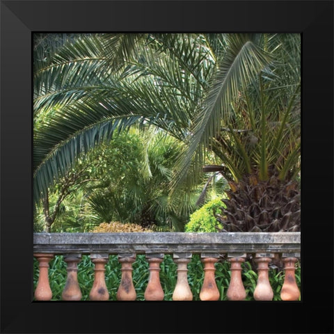 Palace Garden Palms I Black Modern Wood Framed Art Print by Crane, Rita