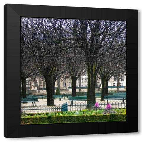 Jardin de Notre Dame I Black Modern Wood Framed Art Print with Double Matting by Crane, Rita