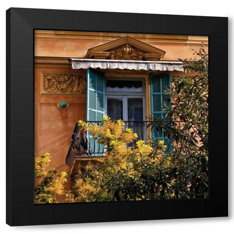 Momosa at the Window Black Modern Wood Framed Art Print with Double Matting by Crane, Rita