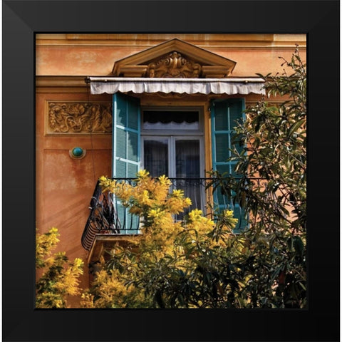 Momosa at the Window Black Modern Wood Framed Art Print by Crane, Rita