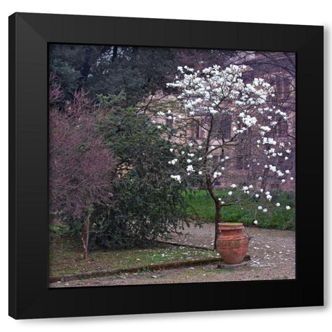 Garden Glimpse I Black Modern Wood Framed Art Print by Crane, Rita