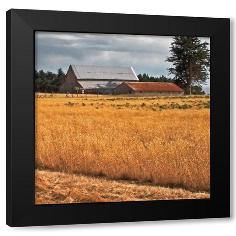 Golden Fields I Black Modern Wood Framed Art Print with Double Matting by Crane, Rita