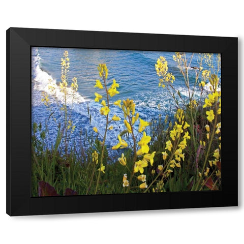 Wild Mustard Black Modern Wood Framed Art Print by Crane, Rita