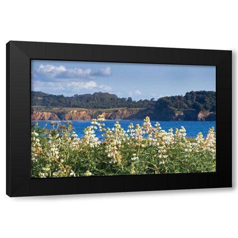 Wild Lupine Black Modern Wood Framed Art Print by Crane, Rita