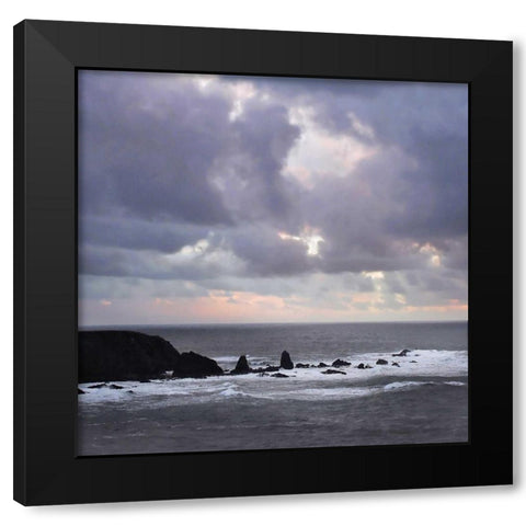 After the Storm Black Modern Wood Framed Art Print by Crane, Rita